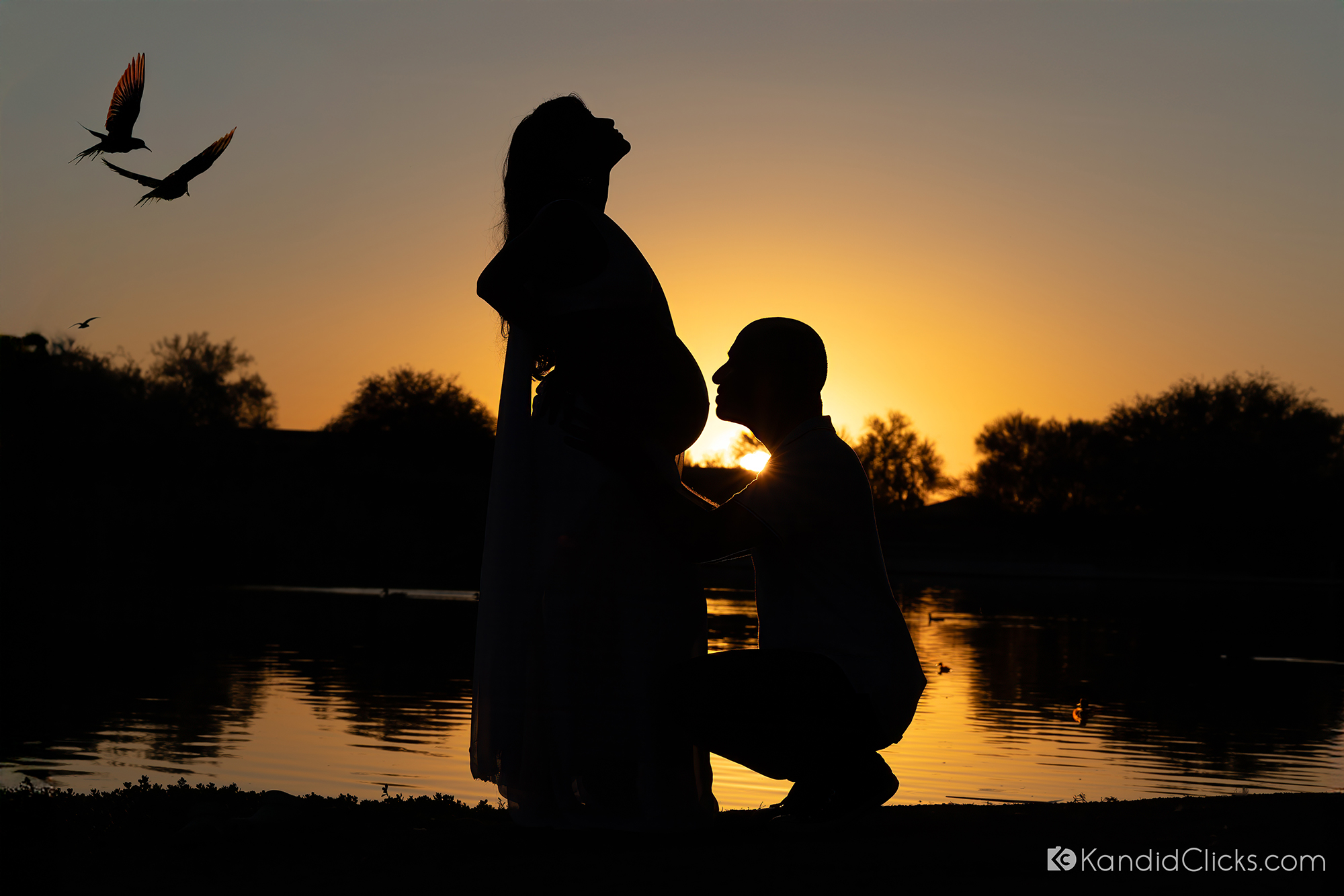 Maternity photographer captures a touching sunset silhouette of a couple with birds flying in the background